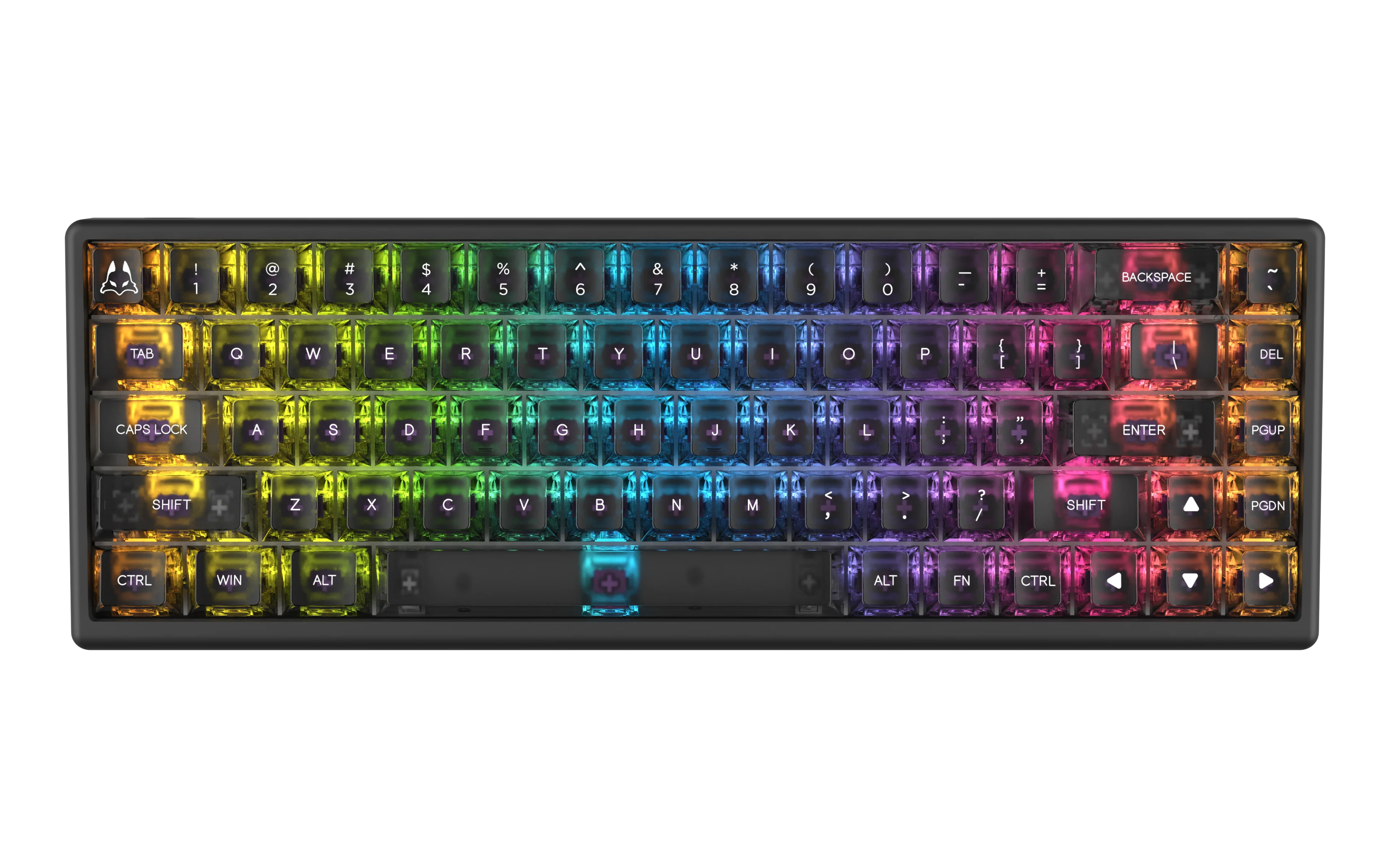 Polar 65 HE Dual Rail - Phantom Series - Image 11